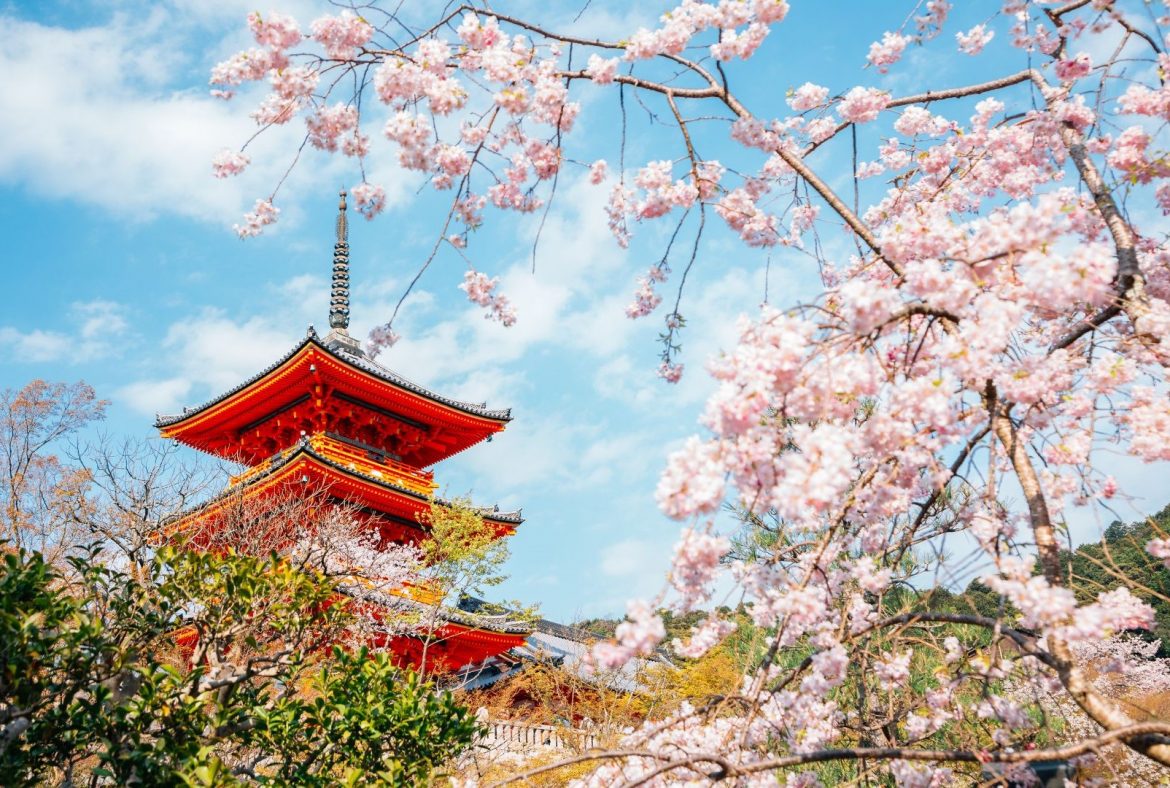 Experience the Magic of Japan!